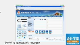 新手學(xué)習(xí)報(bào)稅一定要看的報(bào)稅流程